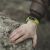 Faster Tools Lead to Smoother Internal Coordination